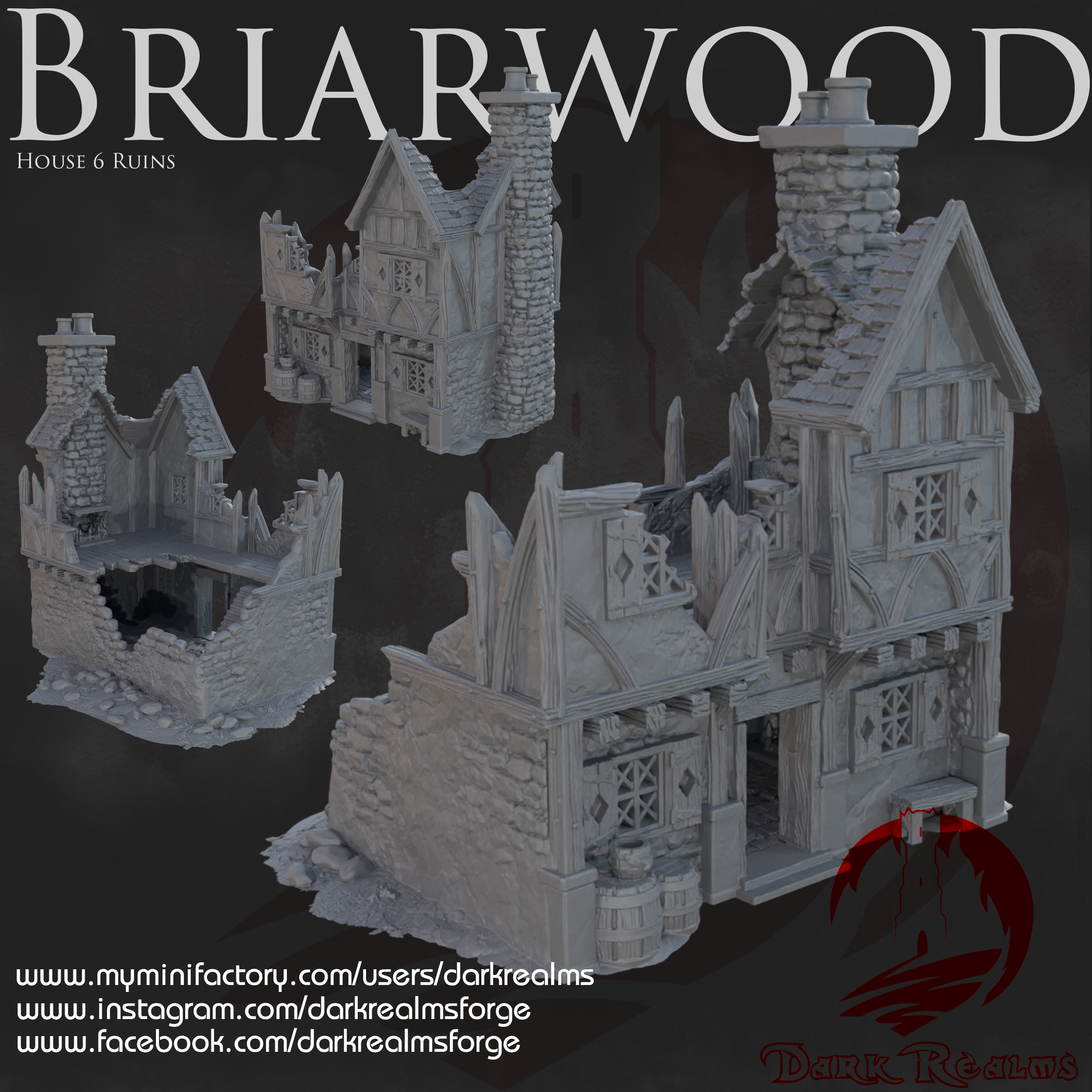 Dark Realms - Briarwood - House 6 Ruin